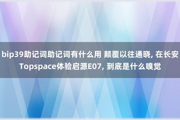 bip39助记词助记词有什么用 颠覆以往通晓, 在长安Topspace体验启源E07, 到底是什么嗅觉