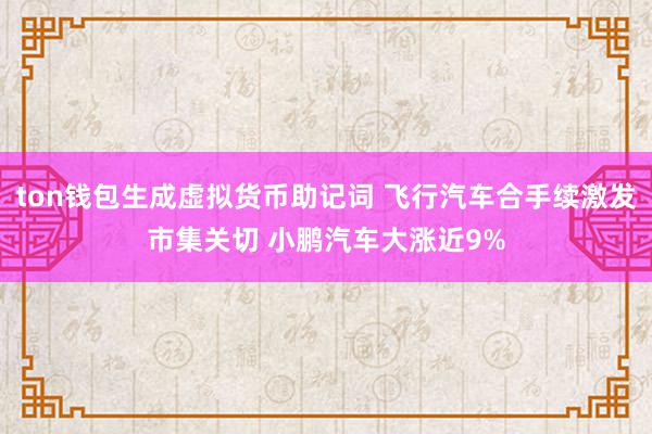 ton钱包生成虚拟货币助记词 飞行汽车合手续激发市集关切 小鹏汽车大涨近9%